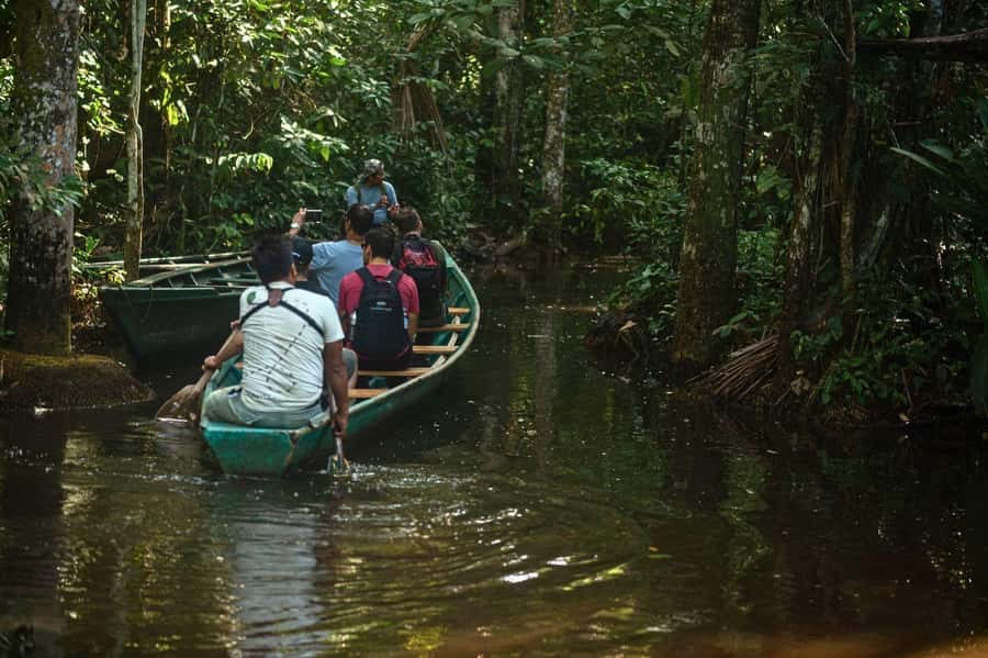 Tambopata National Reserve Tour 3 Days - Wildlife value: what you may see and what you may not