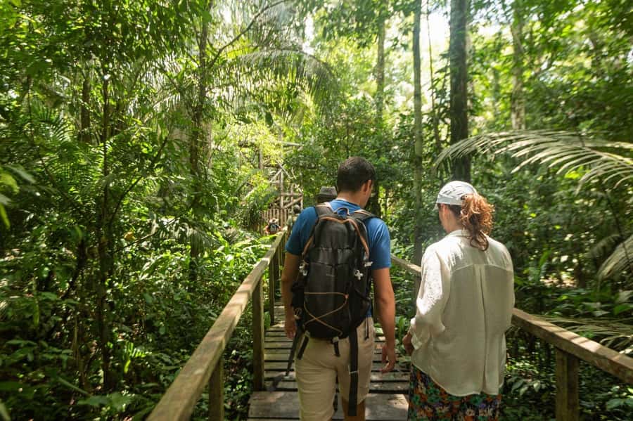Tambopata National Reserve Tour 3 Days - Practical drawbacks to weigh before booking