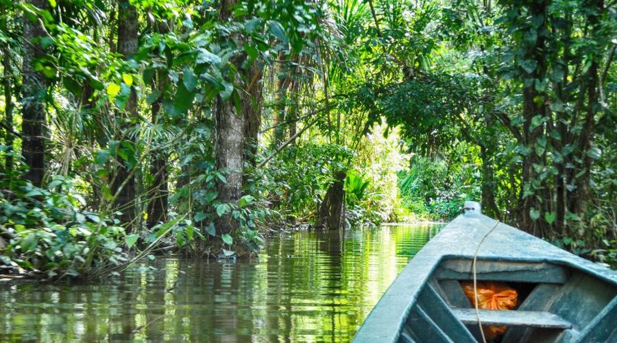 Tambopata Peruvian Amazon Jungle for Three Days/Two Nights - Rowing across the lake in search of wildlife
