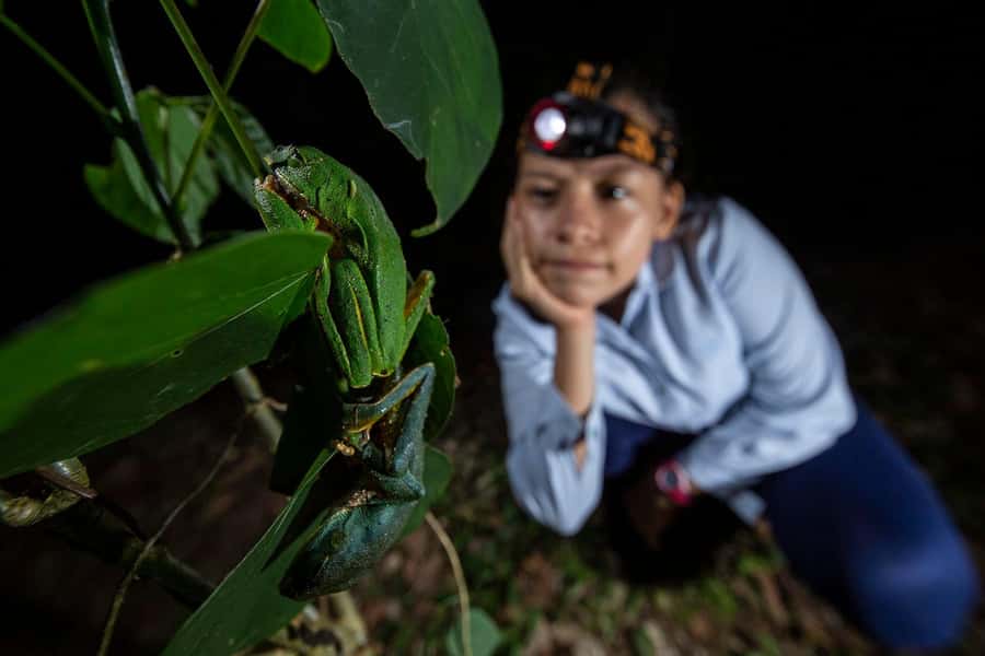 Tambopata Rainforest Night Walk & River Exploration - The 4:00 PM boat ride along the Tambopata River