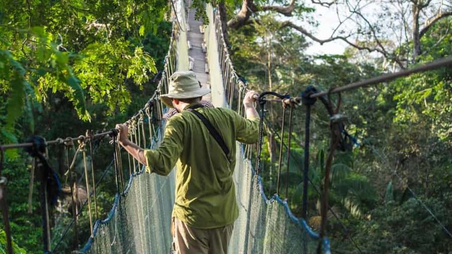 Tambopata: Zipline Adventure & Kayak to Monkey Island - Starting at Loreto 124 in Puerto Maldonado