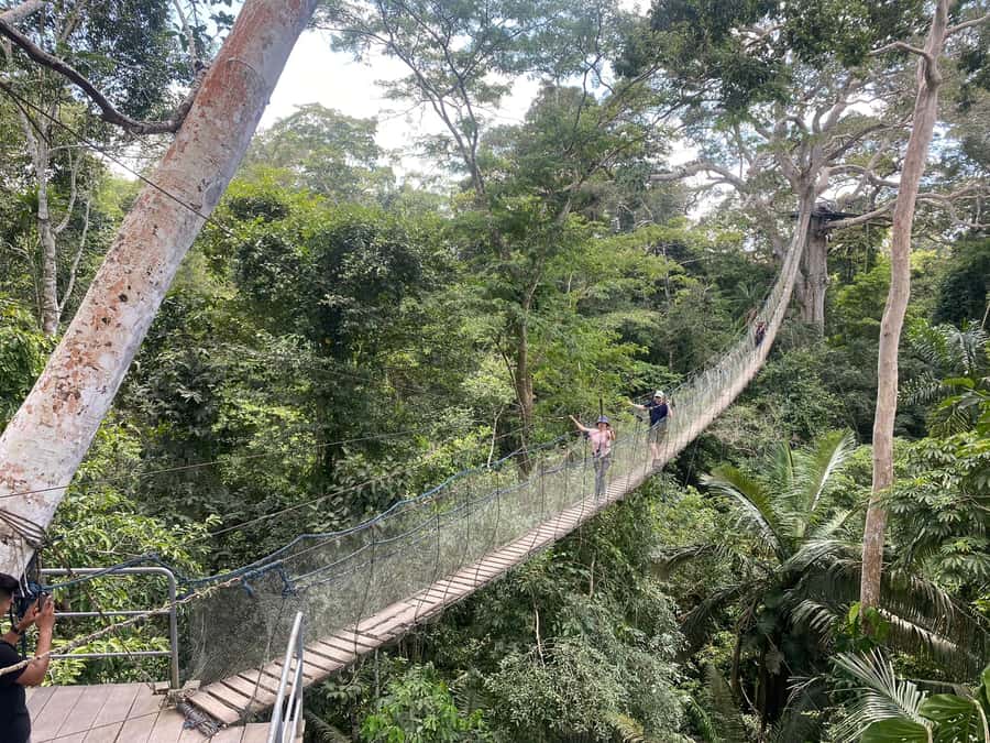 Tambopata: Zipline Adventure & Kayak to Monkey Island - Kayaking down the Madre de Dios