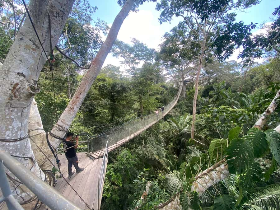 Tambopata: Zipline Adventure & Kayak to Monkey Island - Monkey Island and the capuchins