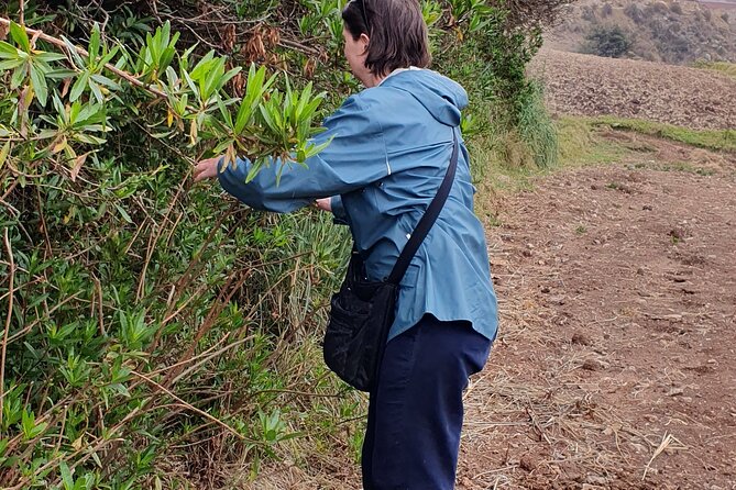 The Textile Workshop Experience in Cusco Region - Shopping that makes sense after the lesson