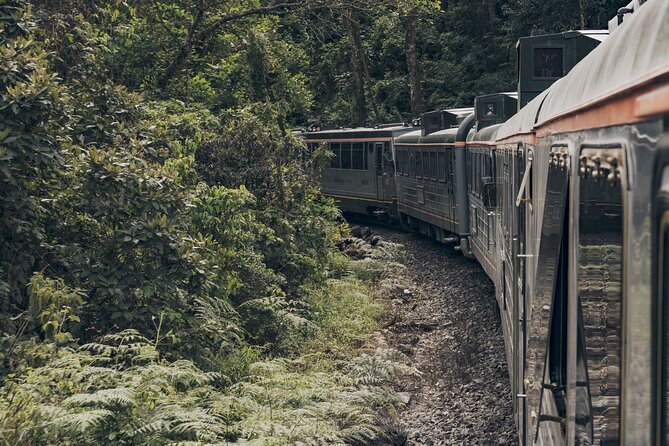 The Voyager Machu Picchu Train by Inca Rail - Who will get the most from this train