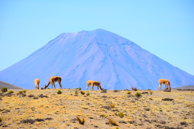 Tour 10 Hours Pillones Waterfall and Puruña Stone Forest - Puruña Stone Forest and the route’s strange rock formations