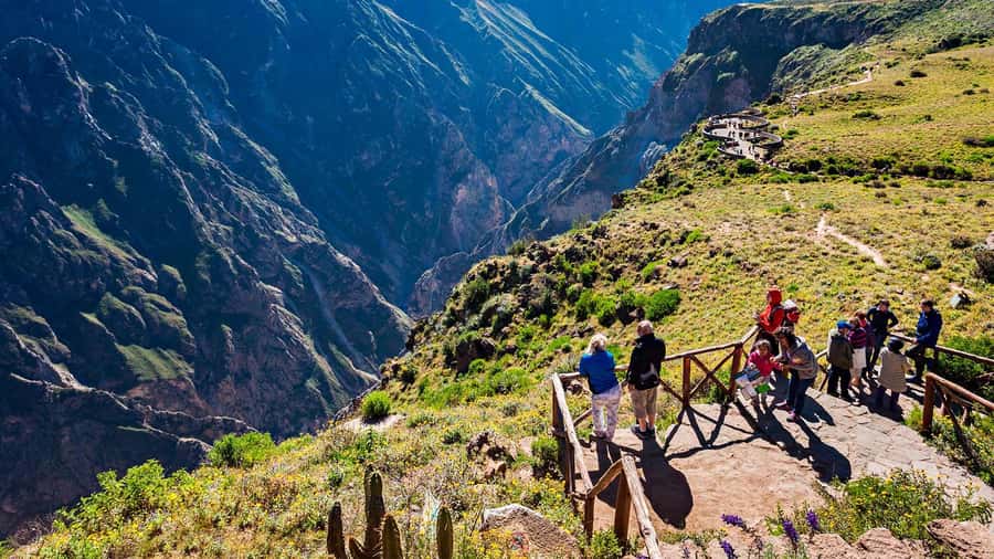 Tour Fullday Colca Canyon with Breakfast and Typical Lunch - Key points to know before booking