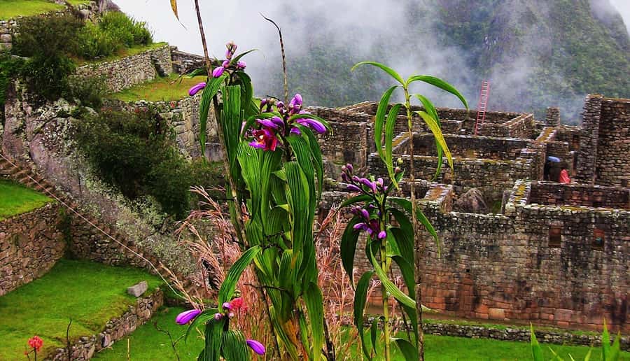 Tour Machu Picchu + Mountain of Huayna Picchu 2 days - Aguas Calientes thermal waters: a useful pause