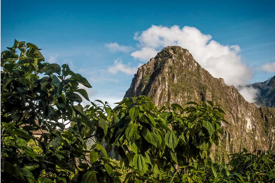 Tour Machu Picchu + Mountain of Huayna Picchu 2 days - Day two: Machu Picchu before Huayna Picchu