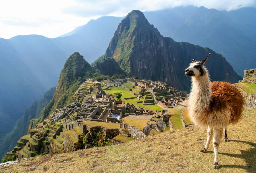 TOUR TO MACHU PICCHU FULL DAY BY TRAIN – The Best Adventure - Ollantaytambo and the morning train