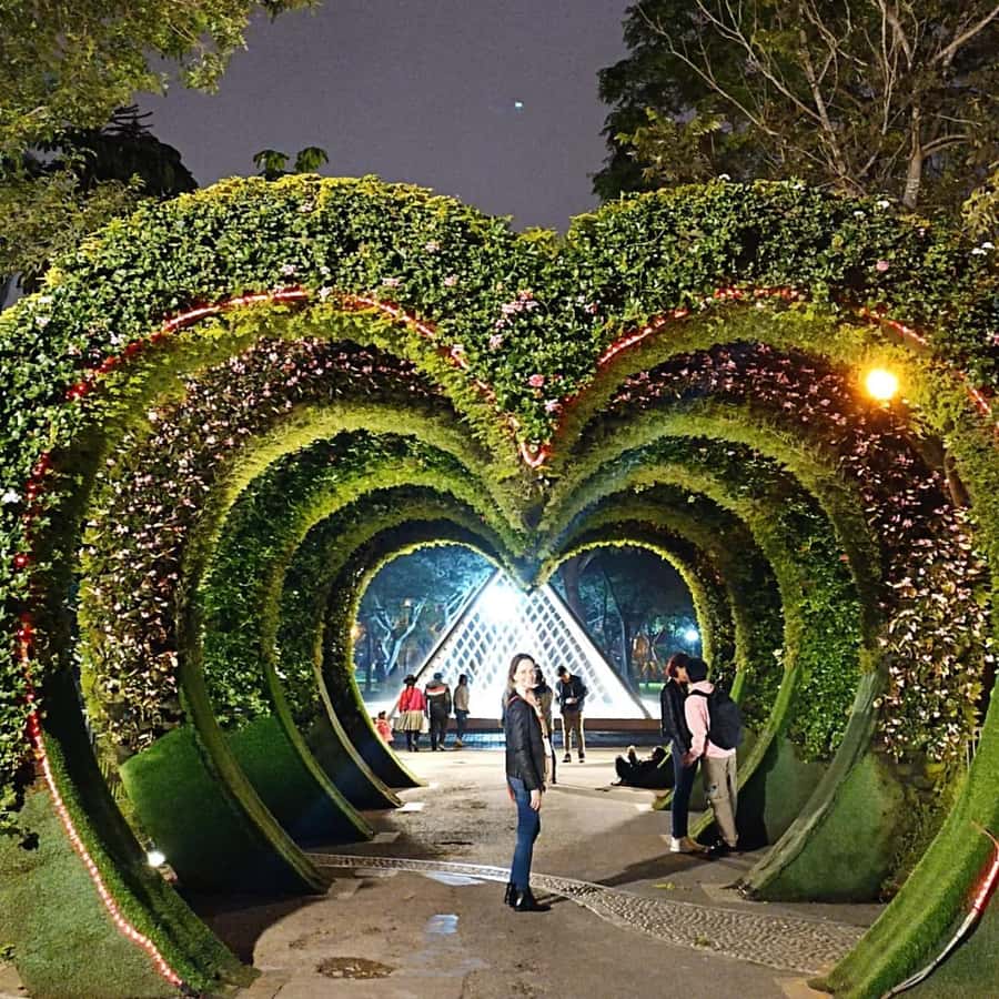 Tour to the magical water circuit with dinner and dance show - Key points to know before booking