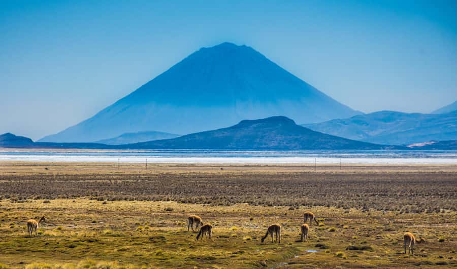 Tour to the Salinas Lagoon and National Reserve in Arequipa - Practical advice for a better day