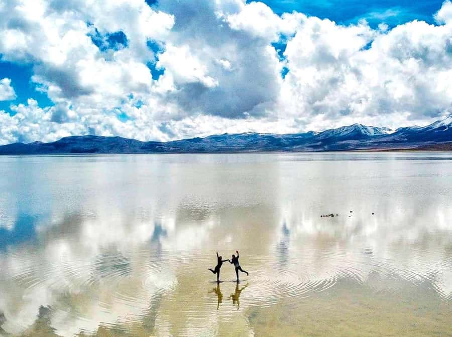 Tour to the Salinas Lagoon and National Reserve in Arequipa - Leaving Arequipa at 6:00 am