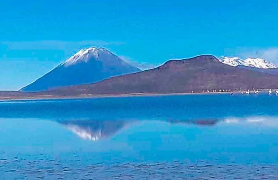 Tour to the Salinas Lagoon and National Reserve in Arequipa - The Mirador de los Volcanes at about 9:00 am