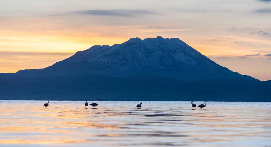 Tour to the Salinas Lagoon and National Reserve in Arequipa - What the $27 price really covers
