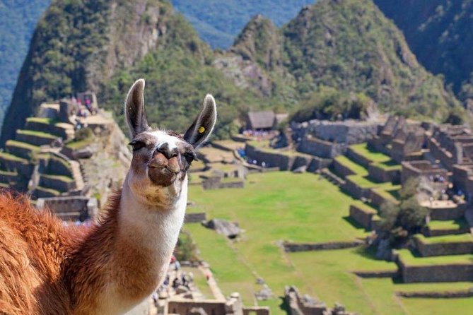 Ultimate 1-Day Machu Picchu Adventure by Train - 3:55am pickup in Cusco