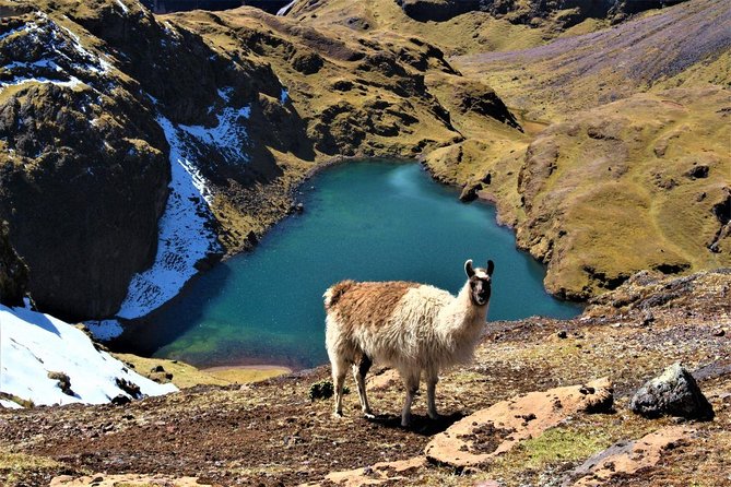 Ultimate Lares Trek & Inca Trail 5 days - Day five: a full Machu Picchu visit