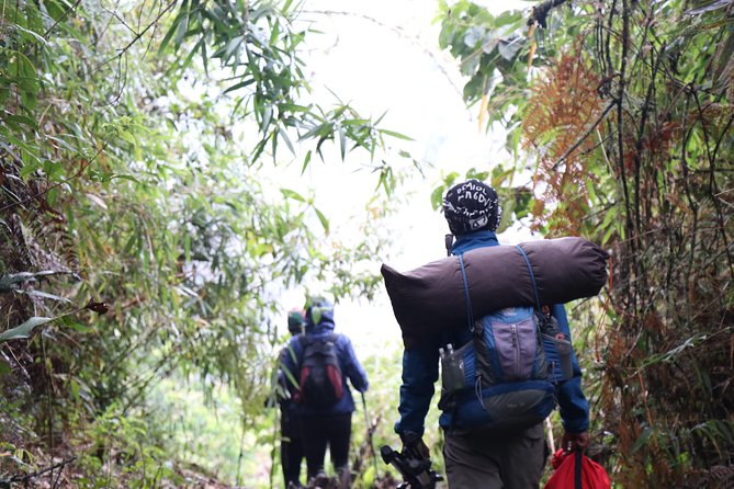 Ultimate Salkantay Trek to Machu Picchu 5 Days - Day five: Machu Picchu before the crowds