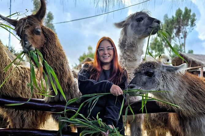 Viewpoints and Streets Tour of Cusco Photo Tour - Key things to know before booking