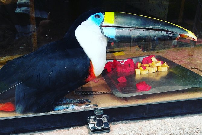 VIP Best Wildlife Tour in Cusco Official Cochahuasi Sanctuary® - Meeting the rescued animals