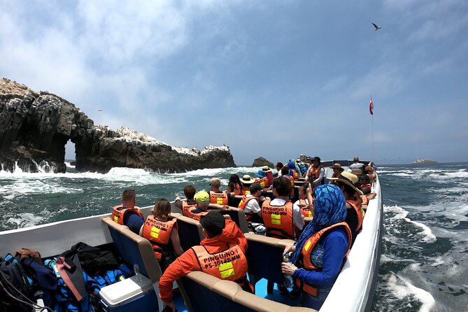 Visit the Sea Lions in Palomino Islands, in Lima Peru - Palomino Island is the main event