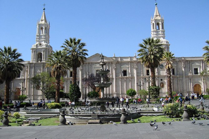 Walking Tour Arequipa Including Santa Catalina Monastery - Alpacas, textiles, and a potato snack