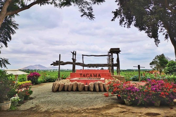 Wine, Pisco and Dune Buggy Experience - Hacienda Tacama and the first taste of Ica