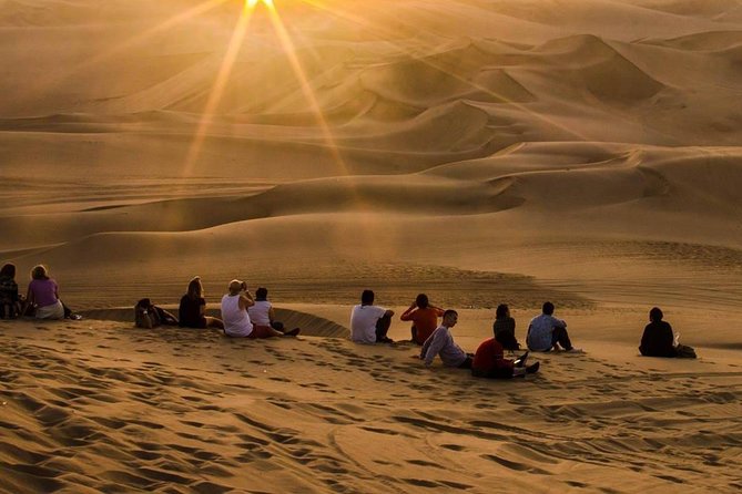 Wine, Pisco and Dune Buggy Experience - Sandboarding without needing expert skills