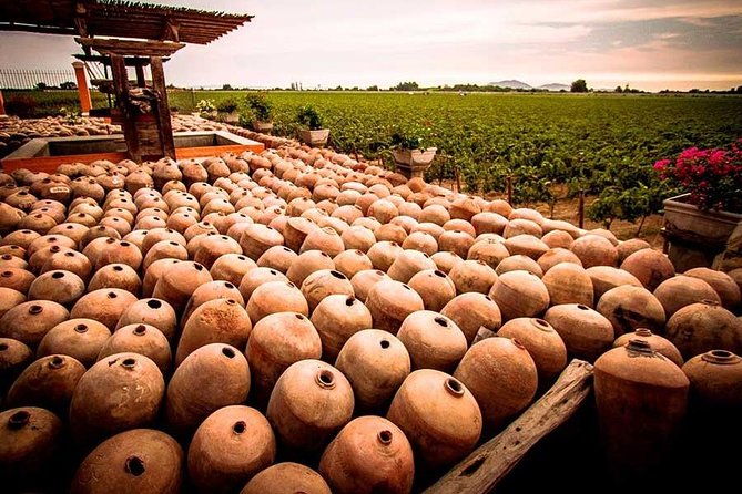 Winery and Pisco Distillery tour - Timing, transport, and the small-group format